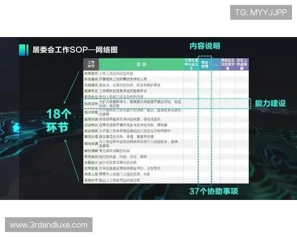 博奥体育助力青年运动员成长的培养体系与训练计划