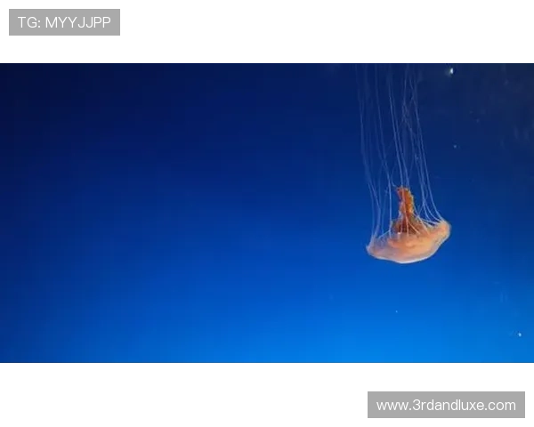 星空体育官方登录入口安全登录流程详解及常见问题解答